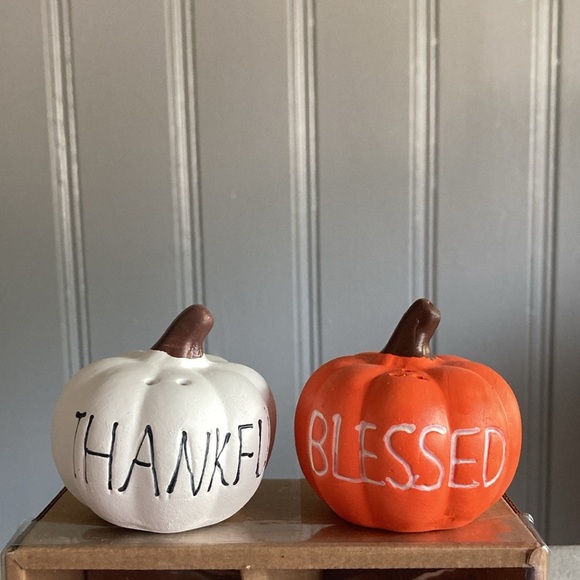 BNIB- ADORABLE- Thankful & Blessed- Ceramic Pumpkin Salt & Pepper Shakers Set - Picture 1 of 17